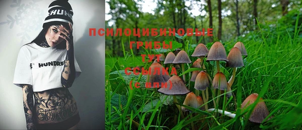 mdpv Аркадак