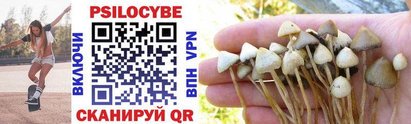 Псилоцибиновые грибы Psilocybe  Павловск 